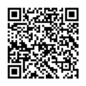 屋子里头的丫鬟赶紧将早已经准备好的锦垫给他们铺好二维码生成