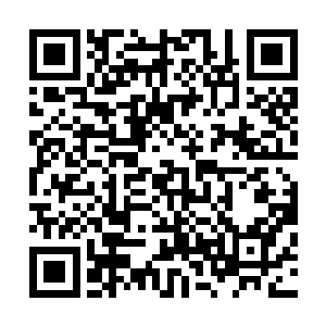 屋子里谢文俊显然已经背着一串意外意外再意外弄得有点懵二维码生成
