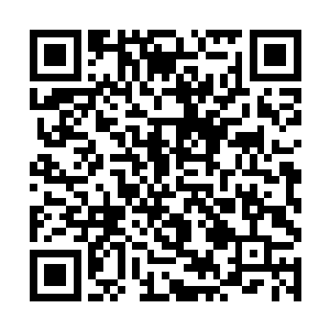 屋里伺候的两个丫鬟和院子里的丫鬟都吓的急忙逃窜二维码生成