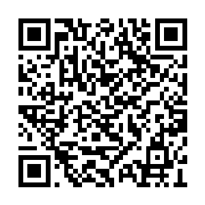 屏幕上那个女人的容貌有着让人惊心动魄的美艳二维码生成