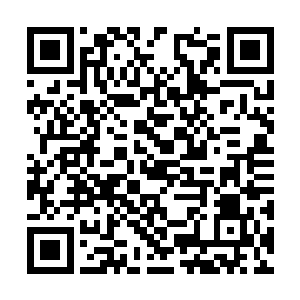 屏幕外的学生们并不知道威首领对这场战斗的预测二维码生成