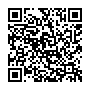 属下在刑部大牢见到了毒杀大少爷的凶手沈祖琅二维码生成