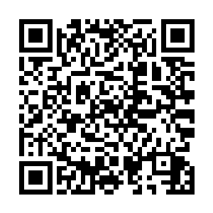 属于孟玄泽这个一向温吞优雅的公子出人意料的犀利反击二维码生成