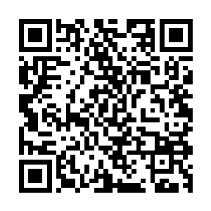 屠舒瀚作为武将必须通过战争和胜利来提升自己在朝廷的地位二维码生成