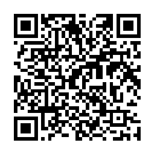 山主您是那种为了自己的私人恩怨不顾府主那边大局的人吗二维码生成
