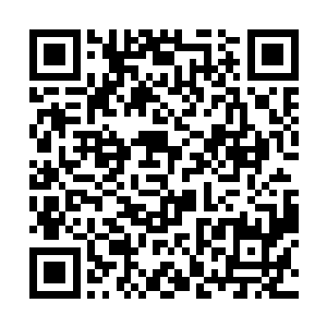 山南省公安厅立刻责令刑侦一处处长何文捷尽快破案二维码生成