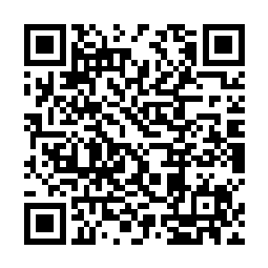 山南省环保厅立刻向龙海市下达整顿运河县环境的通知二维码生成
