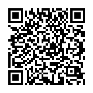 山本瑟郎敢保证对方一定年纪不会超过二十五岁二维码生成