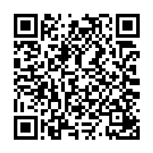 山本龟田的语气中带着那么一丝对三井五郎的不屑二维码生成