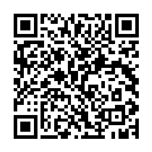 山河社稷图内的世界终于现出一个丰富多彩的世界应有的雏形二维码生成