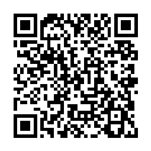 山谷中只剩下圆胖嗷了一声之后连绵不绝的回响二维码生成