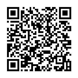 山谷最边缘有一个黑乎乎的人影隐藏在极深的草丛之中二维码生成