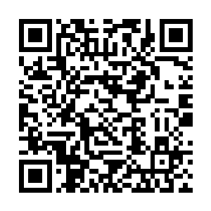 山魂峰上的所有圣级大修士也都长长地吐出了一口气二维码生成