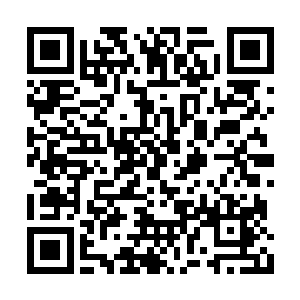 岁月流逝让那少女的美丽容颜在记忆里变得迷蒙二维码生成