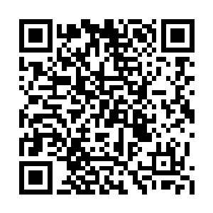 岂不是每个人都能够通过这道门户向往那个世界二维码生成