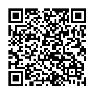 岂不知杨开只是将她当成了呼之即来挥之即去的打手而已二维码生成