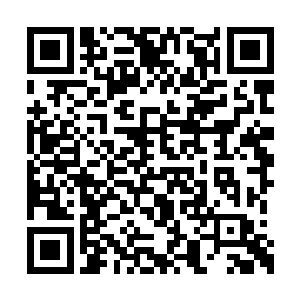 岑宇昊隐隐觉得事情可能比他想象得要复杂很多二维码生成