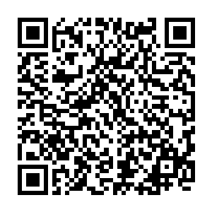 岚脚的朝我打过来可就不是换病房和加大药量那么好过了你就等着电击治疗吧二维码生成