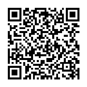 岛上的修真者和凡人以后也会更加的信服他这位岛主二维码生成