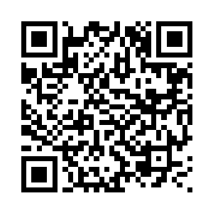 岳飞又带着他们去巡视了一圈城防二维码生成