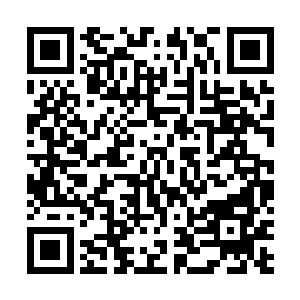 峡谷上方正与夭华交手的黑衣人没想到水俞会突然掉下去二维码生成