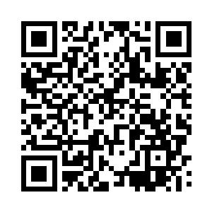 峰顶处生长着一颗千丈高的参天巨树二维码生成