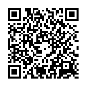 崇拜眼神还瞧着成了全班焦点却丝毫不见窘迫的谢一鸣二维码生成