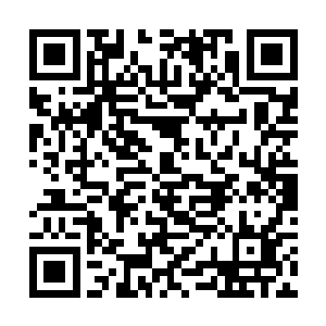 崔家的那些下人不是说李大娘子是个软弱可欺的人吗二维码生成