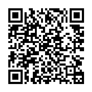 崖坪上那些看都没有来得及看清楚的人们自然更想不明白二维码生成