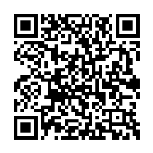 嵌入正在试验的自主学习和升级型灵能傀儡体内二维码生成