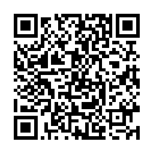 工作中的靓汤完全是一个合格甚至是异常勤奋的演员二维码生成