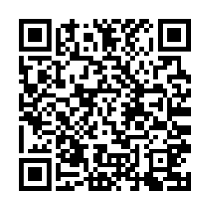 左丘大人有意让穆神将军担任太夏空骑兵部队的统领二维码生成