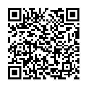 左前腿早就被葬剑和真龙古剑的力量切得支离破碎二维码生成