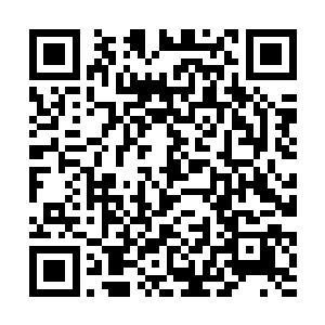 左右二女陪同之下走出门来的苗毅犹如换了个人一般二维码生成