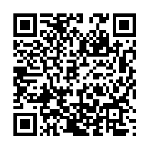 左右扫视了一下下面的番王穿成渣男他妹的女配伤不起二维码生成