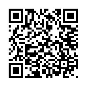 左右环视了一下全部举着两根手臂的二维码生成