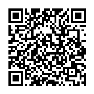 左挑右选最终在一个民风淳朴的杨树村后山上落了户二维码生成