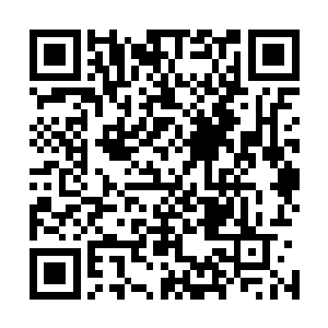 左相看着秦铮对那几个已经被人敲昏过去了的老者露出杀意二维码生成