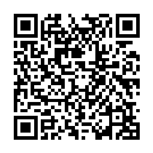 左边一个看起来稍微稳重点的武者冲杨开厉喝一声二维码生成