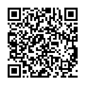 左边的那个修士正源源不断地向着珠子内灌注着生命之气二维码生成