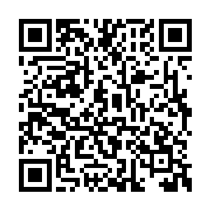 左阳低头看着怀里疼得脸色煞白满头冷汗的女人二维码生成