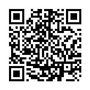 巧巧歪着脑袋看着眼前有些熟悉的人二维码生成