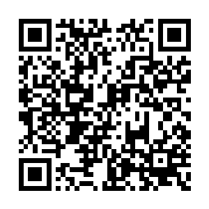 巨人族族长成不鸣激动地望着空中许紫烟的身影二维码生成