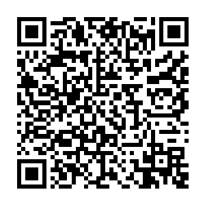 巨大白色运输舰上的炮口对准了留在战场上的敌方机甲……以及他们身后的战舰二维码生成