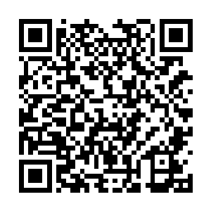 巨大的惯性还是让尖矛的前端刺中了慕以柔的肩头二维码生成