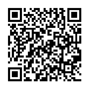 巨大的手掌带着毁灭的气息直接朝着血魔宗的宗门笼罩过去二维码生成