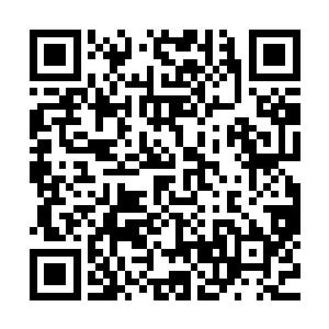巨大的爆破力令许紫烟八个大乘期修士如同汪洋中的一夜扁舟二维码生成