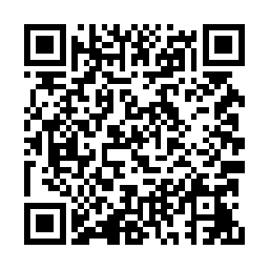 巨大的蝎螯和尾刺都闪烁着令人心惊胆战的寒光二维码生成