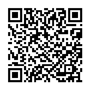 巨大的长青神树已经从五十丈长成一百丈之高了二维码生成