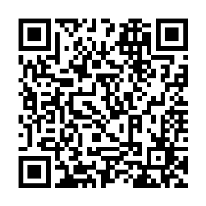 巨大的黑瞳巨魔的尸体被丢进了万年火山的火山口内二维码生成